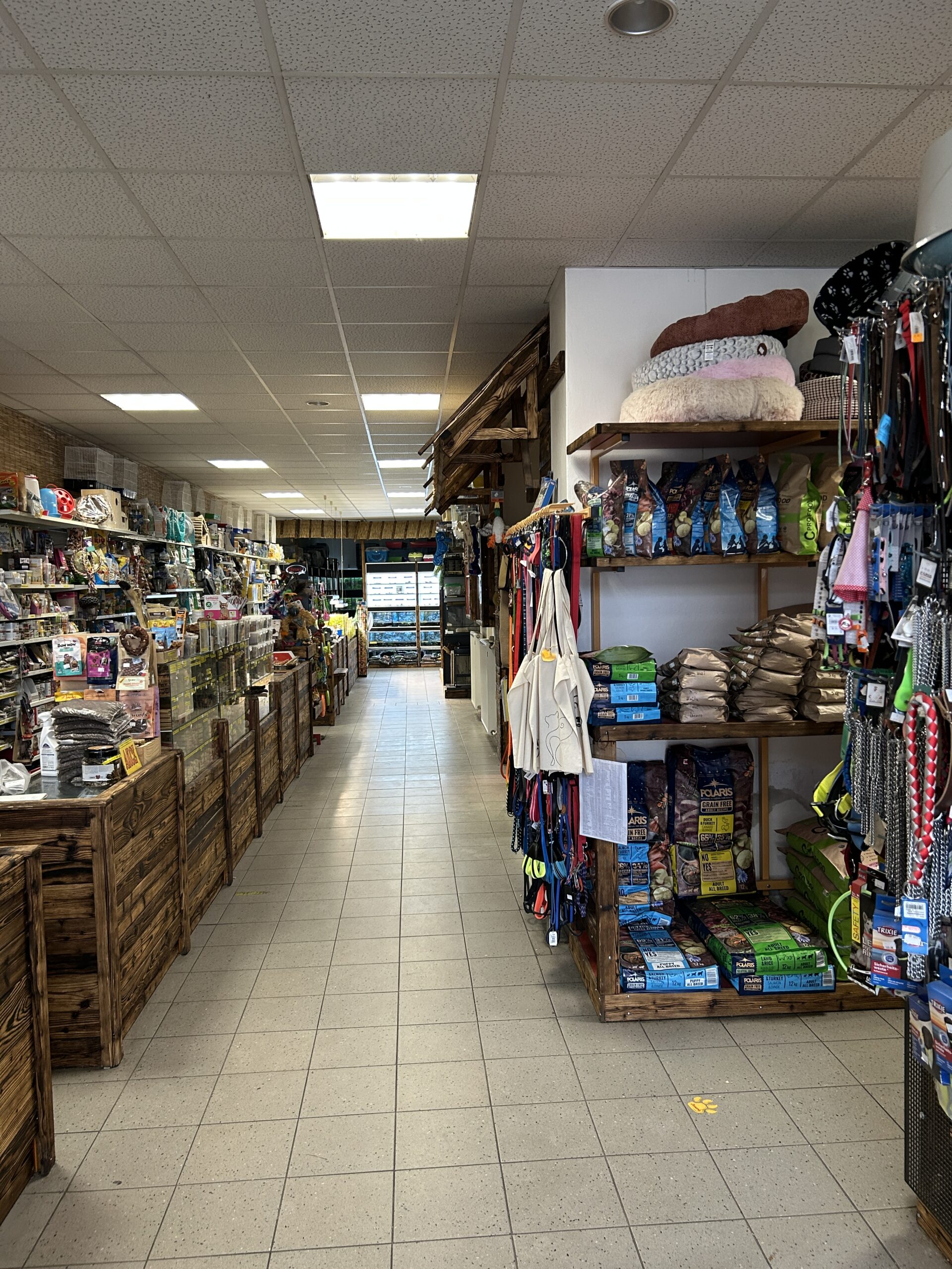 Vše pro vašeho psa – od krmení po hračky