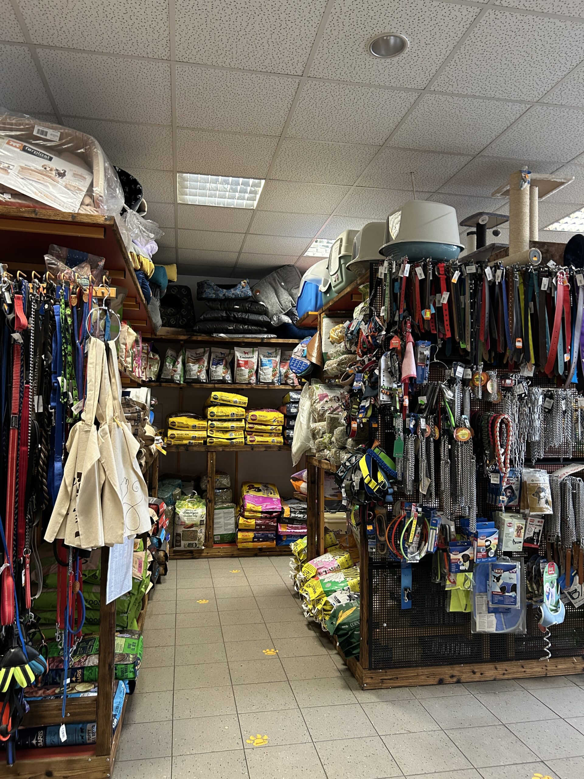 Vše pro spokojenou kočku